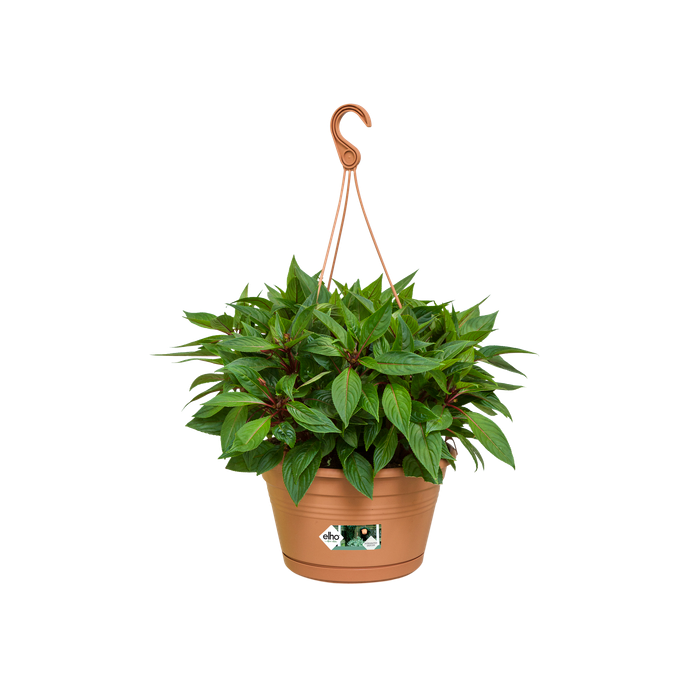 green basics hangschaal 28cm mild terra